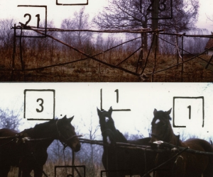 7-